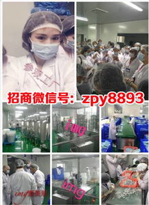 愛美肌、悅素堂與愛奈兒產品體驗及燕兒團隊代理模式解析