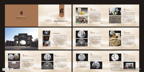 茶韻盡顯 專業(yè)茶葉產(chǎn)品畫冊設(shè)計圖代理代辦服務(wù)